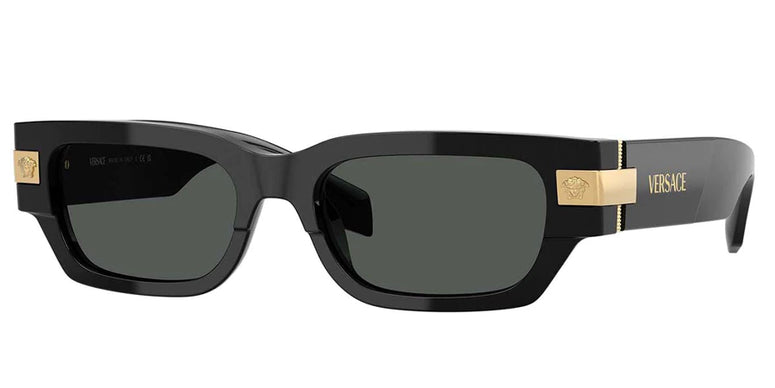 Versace Black Tortoise Sunglasses