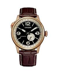 Citizen Automatic Men’s Watch NJ0143-19E
