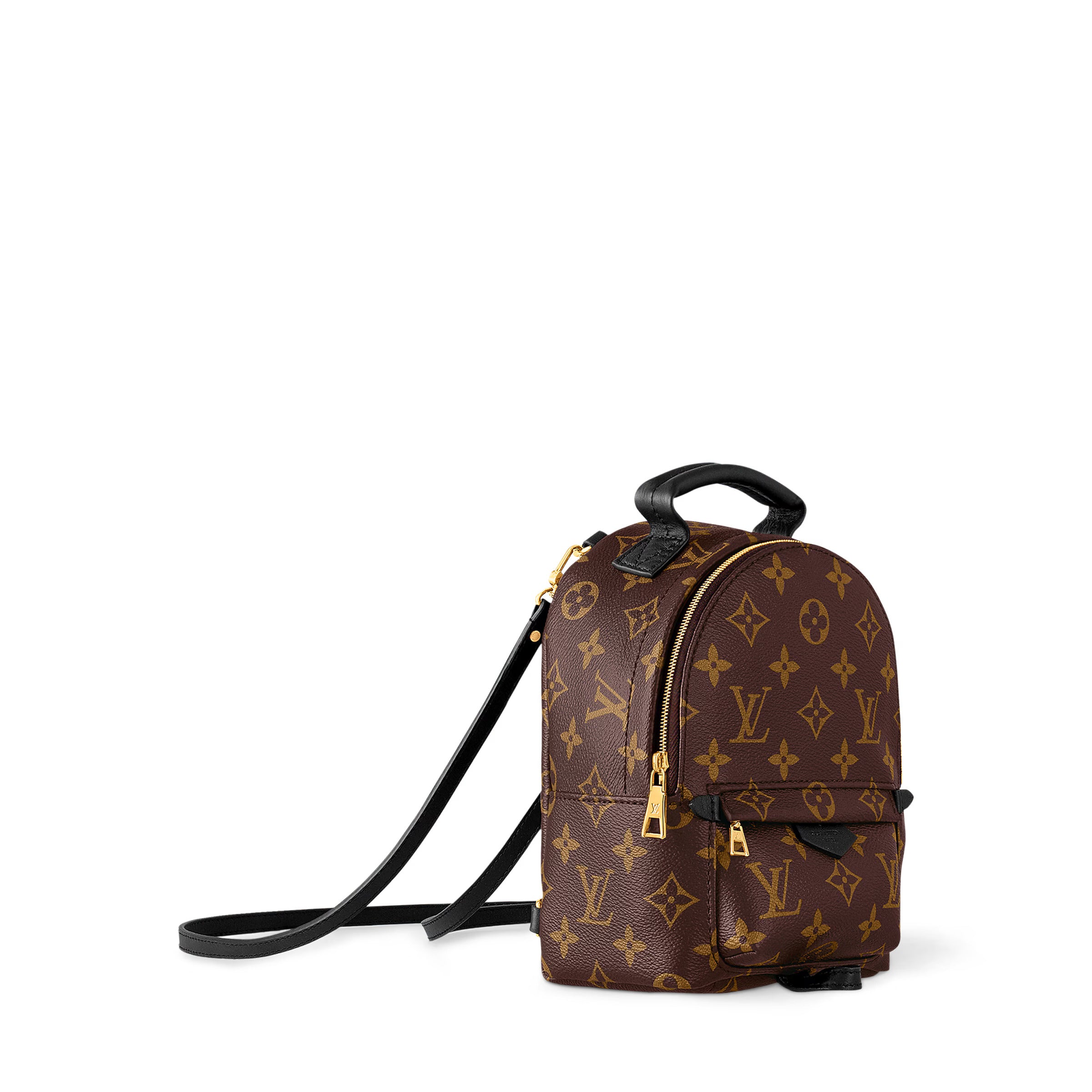 Louis Vuitton Palm Springs Mini backpack