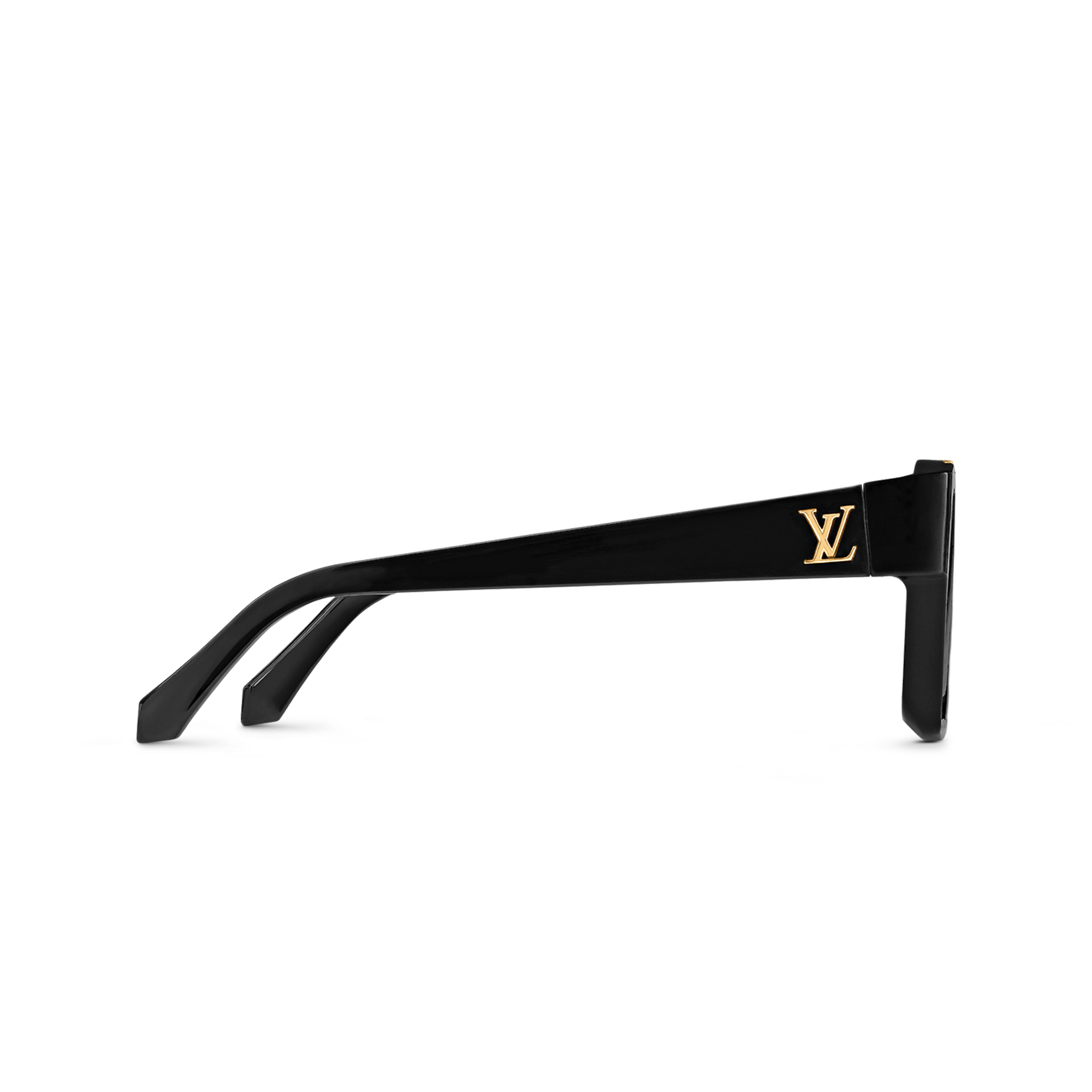 Louis Vuitton Evidence 2021