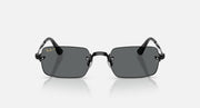 Black / Dark grey polarized