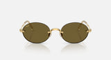 Arista gold / Dark brown