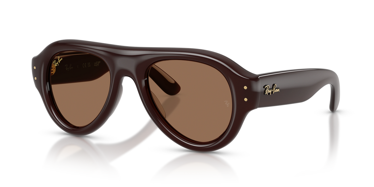 Ray-Ban RB4925 A$AP Rocky Puffer Sunglasses - Transparent dark brown / Dark brown supplier shadow image