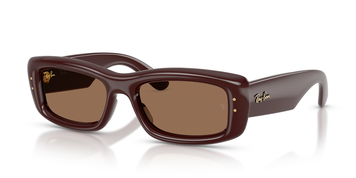 Ray-Ban RB4944 A$AP Rocky Puffer Sunglasses - Transparent dark brown / Dark brown supplier premium shadow image