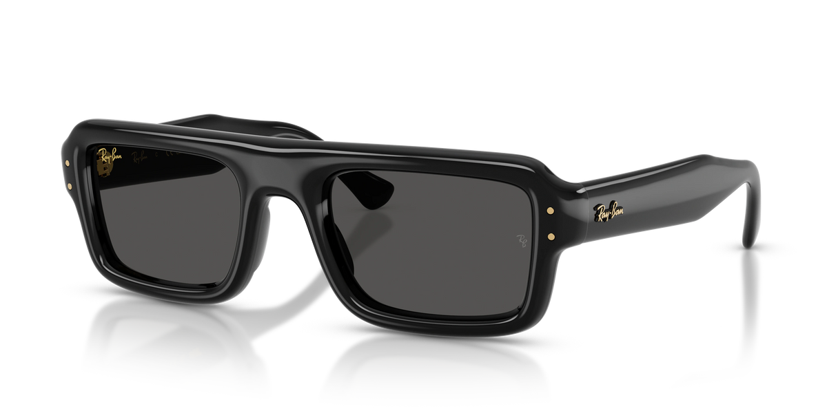 Ray-Ban RB4954 A$AP Rocky Puffer Sunglasses - Black / Ultra black supplier shadow image