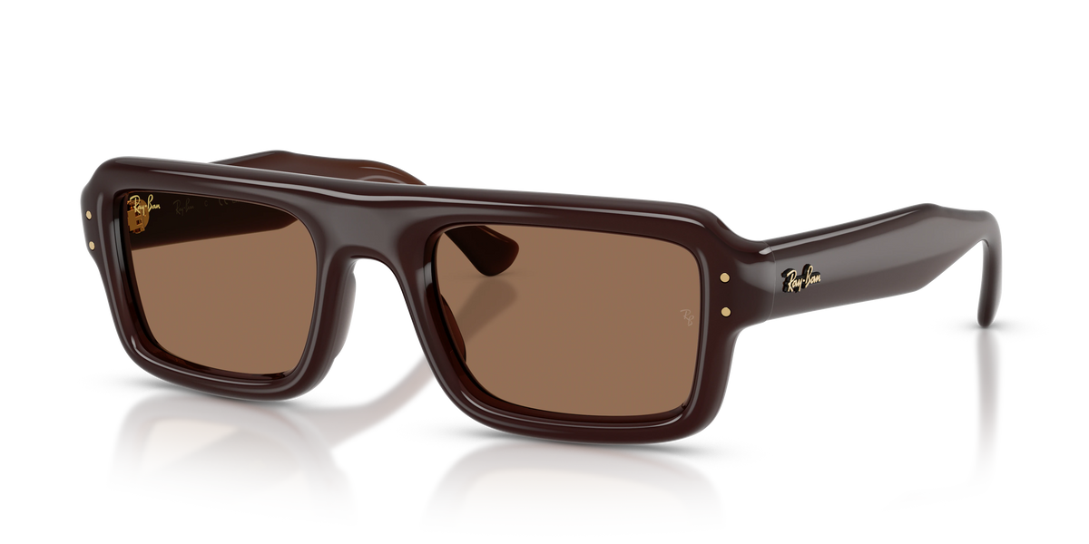 Ray-Ban RB4954 A$AP Rocky Puffer Sunglasses - Transparent dark brown / Dark brown supplier premium shadow image