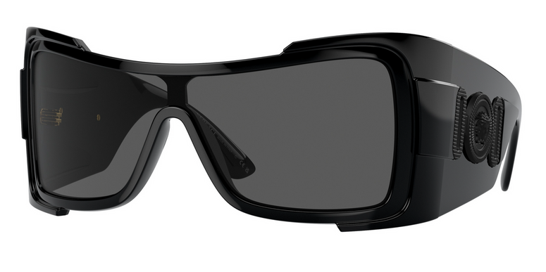 Versace Future Sunglasses