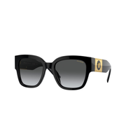 Black / Polarized grey gradient