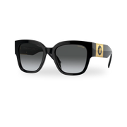 Black / Polarized grey gradient
