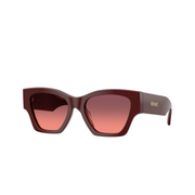 Burgundy / Pink gradient violet