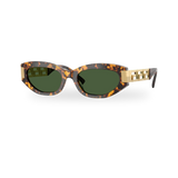 Brown tortoise / Dark green