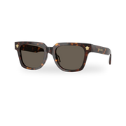 Havana / Brown
