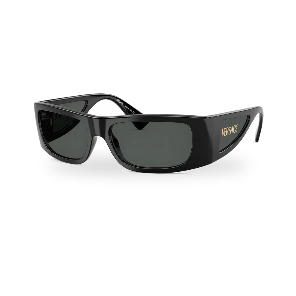 Versace Neo Icon Sunglasses MOD.4482– GB1/87 - transparent product photo with soft shadow