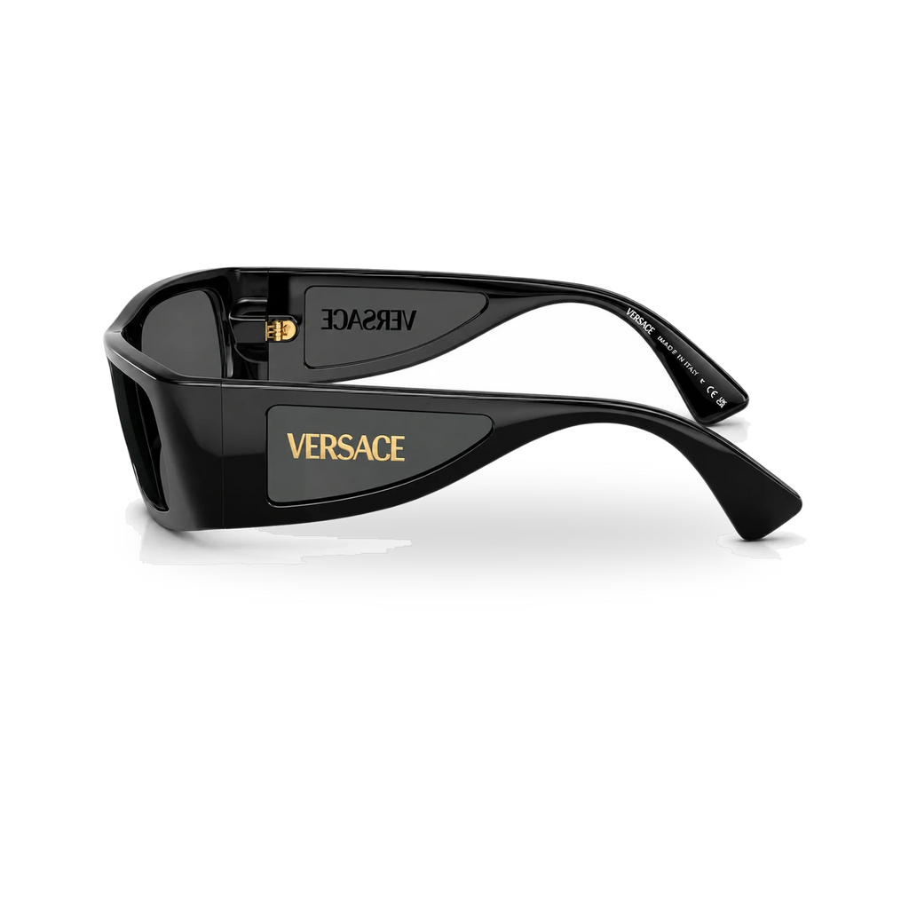 Versace Neo Icon Sunglasses MOD.4482– GB1/87 - transparent product photo with soft shadow