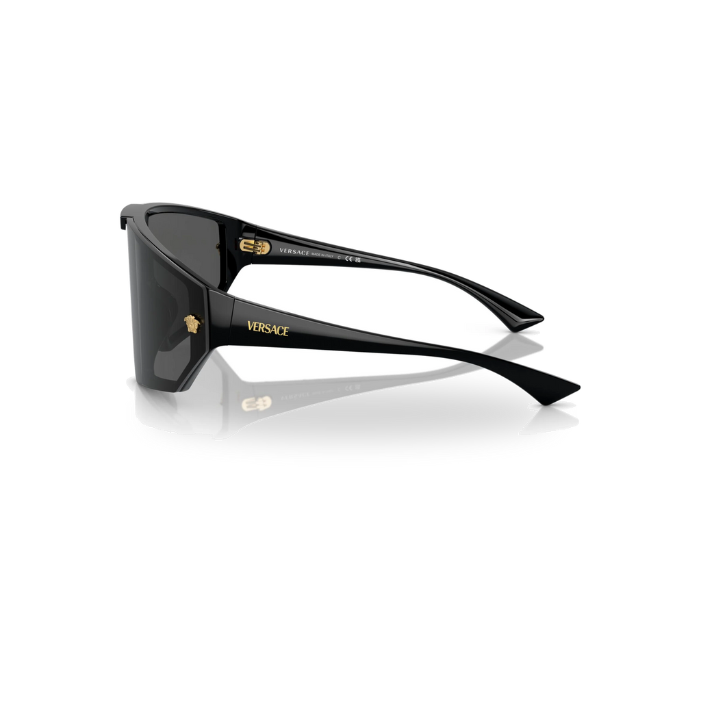 Versace Trippie Sunglasses - transparent product photo with soft shadow