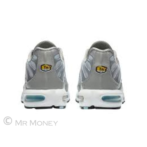Nike Air Max Plus Light Smoke Grey Glacier Ice Shoes